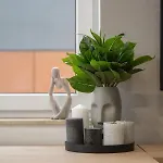 Appartement Trendy With Office Near Main Station By Renters